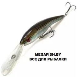 Hitfish-Balanar-307