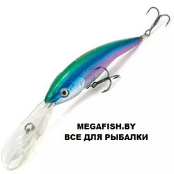Hitfish-Balanar-327