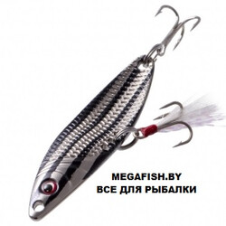 Fish-Image-Needle-Black-Striper