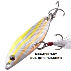 Fish-Image-Needle-Fluo-Striper