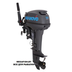 2T-Seanovo-SN-9.9-FHS-PRO