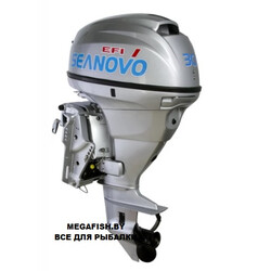 4T-Seanovo-SNEF-30-FEL-T-EFI