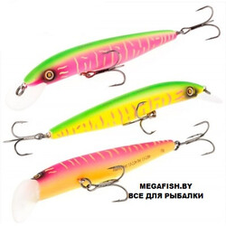 Predator-125F-A207/161