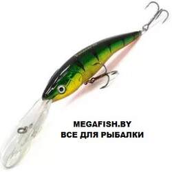 Hitfish-Balanar-379