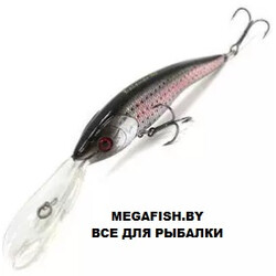 Hitfish-Balanar-396
