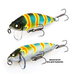 Akara-Goby-A106
