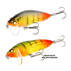 Akara-Goby-A190