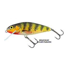 Salmo-Perch-HOP
