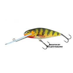 Salmo-Perch-HOP