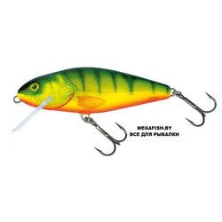 Salmo-Perch-HPH