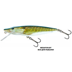 Salmo-Pike-F9-RPE