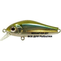 Zipbaits-Rigge-021