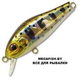 Zipbaits-Rigge-810