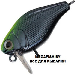 Strike-Pro-Cranky-X-40-A261