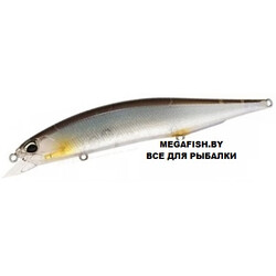 Vobler-DUO-Realis-Jerkbait-120SP-CCCZ170