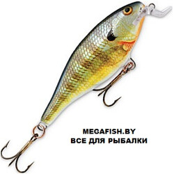 Vobler-Rapala-Shallow-Shad-Rap-07-BG