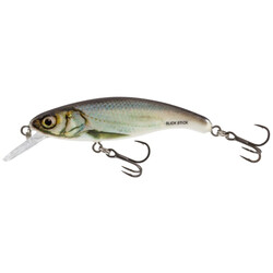 Salmo-SLICK-STICK-60F-RBL