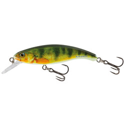 Salmo-SLICK-STICK-60F-YPE