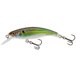 Salmo-SLICK-STICK-60F-RHS