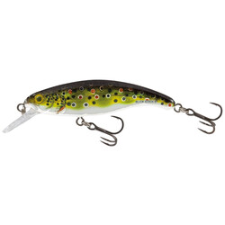 Salmo-SLICK-STICK-60F-HGB