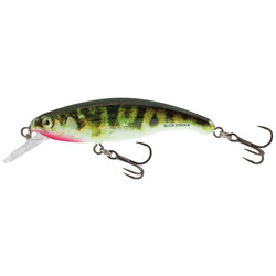 Salmo-SLICK-STICK-60F-HSK