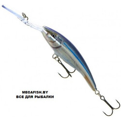 Rapala-Deep-Tail-Dancer-ANC