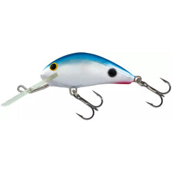 Salmo-HORNET-RTS