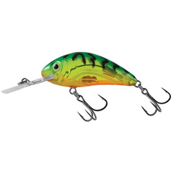 Salmo-RATTLIN'-HORNET-45F-CHG