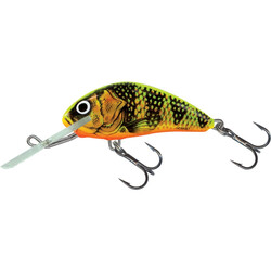 Salmo-HORNET-GFP