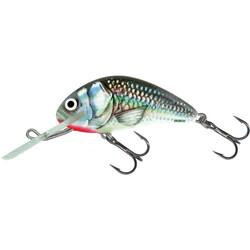 Salmo-HORNET-HGS