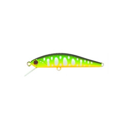 DUO-Grace-Minnow-Elena