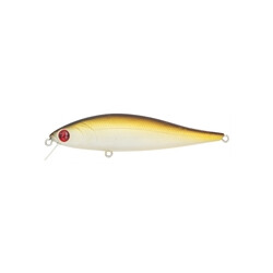PONTOON-21-Bet-A-Minnow-317