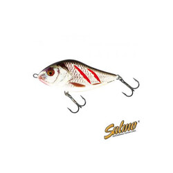 Salmo-Slider-F07-WGS