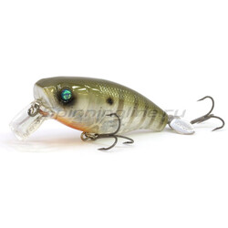 Deps-Buzzjet-JR-02