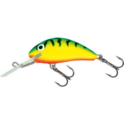 Salmo-HORNET-GRT