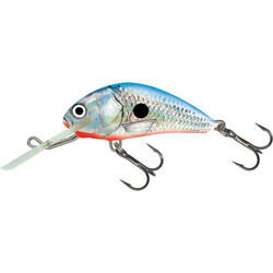 Salmo-HORNET-SBS