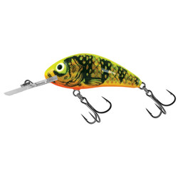 Salmo-RATTLIN'-HORNET-GFP