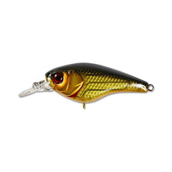 Jackall-Jaco-is-gold&black