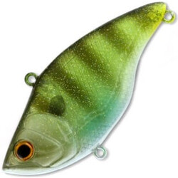 Deps-MS-Vibration-RT-05