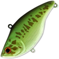 Deps-MS-Vibration-RT-08