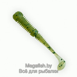 Fanatik-Boxer-001