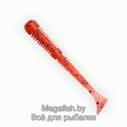 Fanatik-Boxer-2"-023