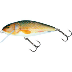 Salmo-PERCH-RER