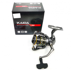 Kaida-DIS