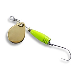 Crazy-Fish-Spinner-Beagle-7