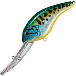 Strike-Pro-Crankee-Runner-80-945V