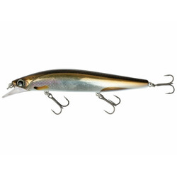 Shimano-Bantam-Rip-Flash-T00