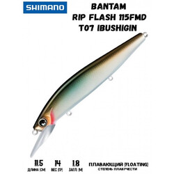 Shimano-Bantam-Rip-Flash-T07