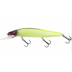 Shimano-Bantam-Rip-Flash-T09