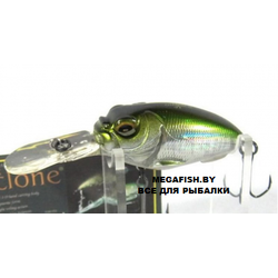 MEGABASS-MR-X-CYCLONE-GW-Shira-Hae